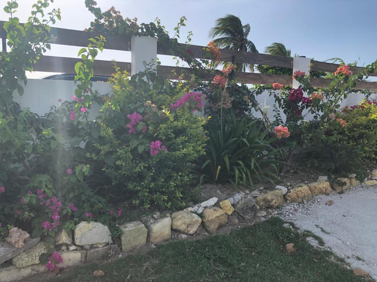 Airport Beach Hotel Montego Bay Luaran gambar
